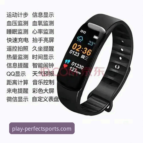 完美体育开启精彩2026最新版本实用指南：从下载到深度体验的全方位解析